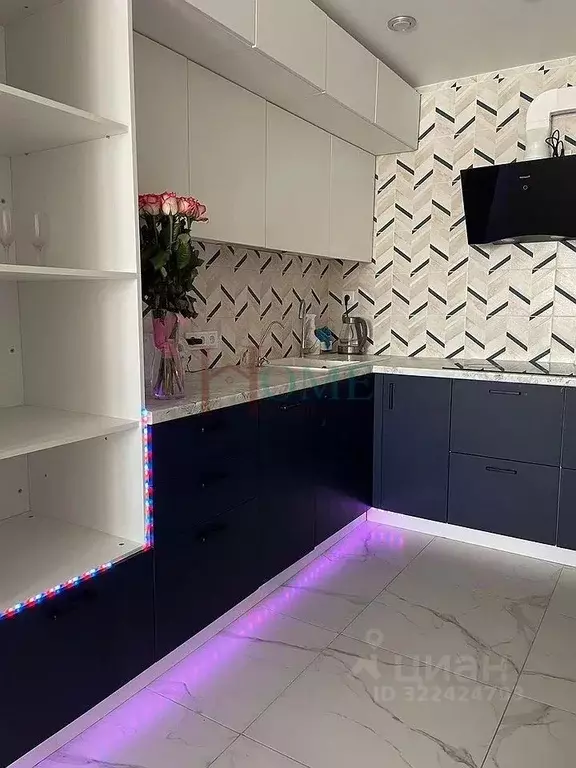 2-к кв. Новосибирская область, Новосибирск Кубовая ул., 47/1 (60.0 м) - Фото 1