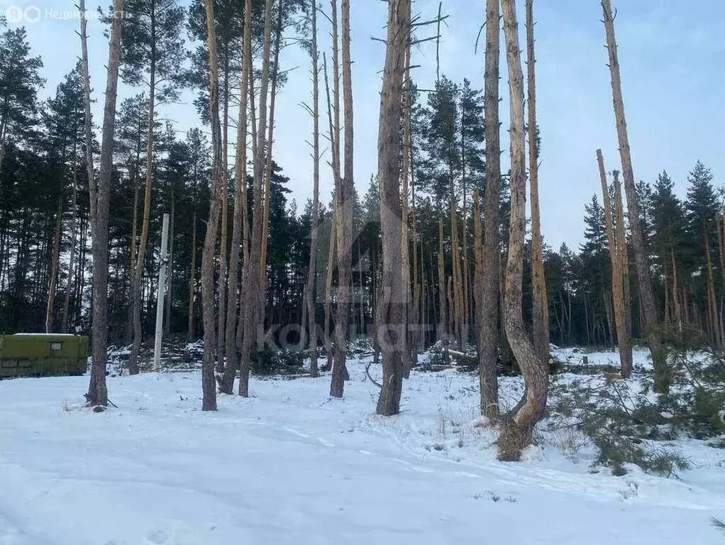 Дом в деревня Медовка, улица Соколова (110 м) - Фото 0