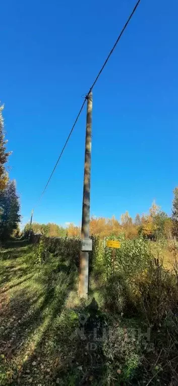 Участок в Ленинградская область, Кировский район, Назиевское городское ... - Фото 0