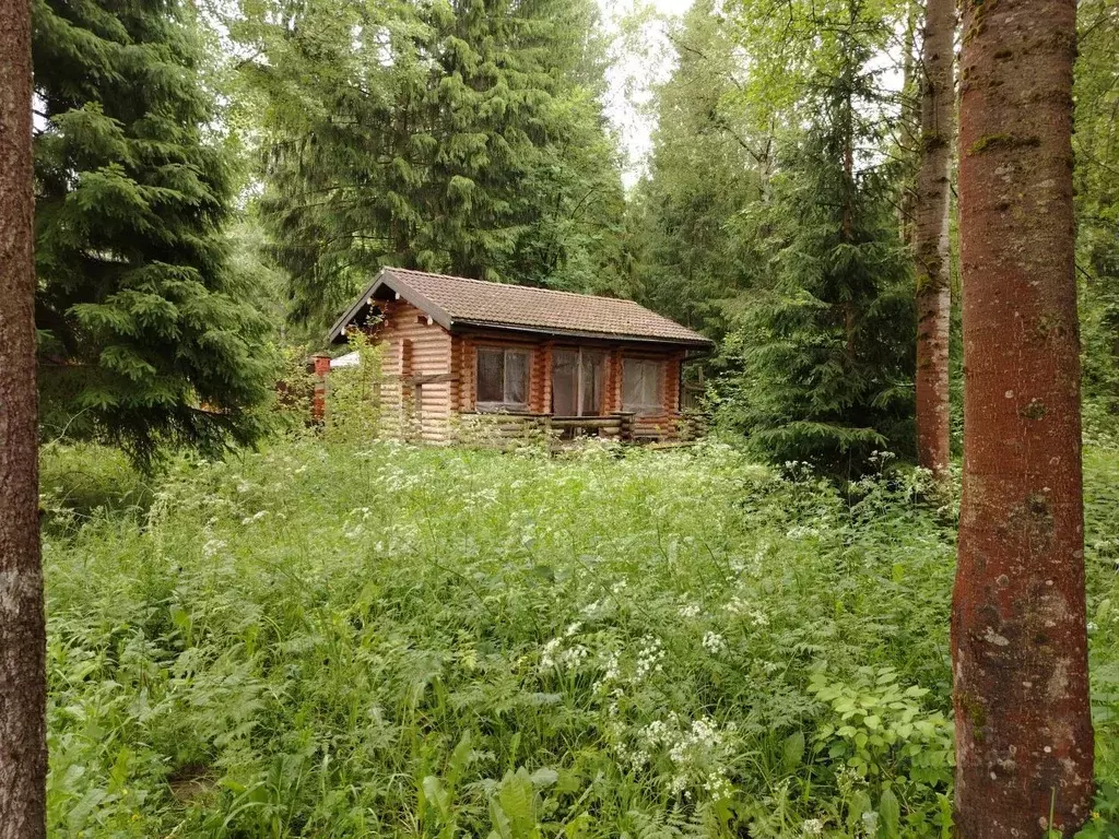 Коттедж в Владимирская область, Александровский муниципальный округ, ... - Фото 2