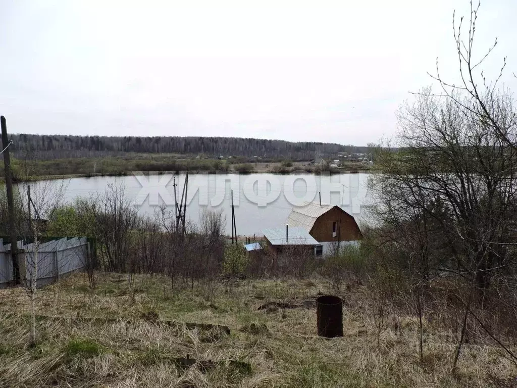 Дом в Новосибирская область, Мошковский район, Рябинка-Этро-1 садовое ... - Фото 0