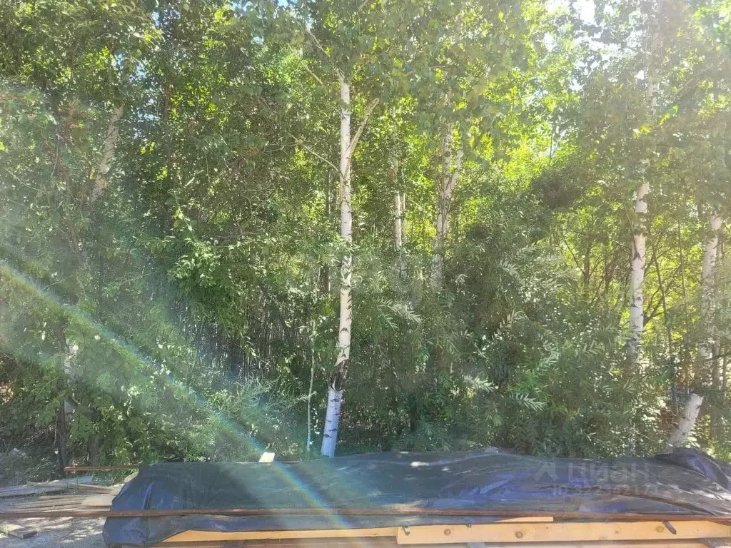 Участок в Амурская область, Благовещенск Урожай СТ,  (9.0 сот.) - Фото 1