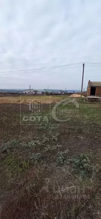 Участок в Воронежская область, Рамонский район, с. Ямное ул. ... - Фото 2