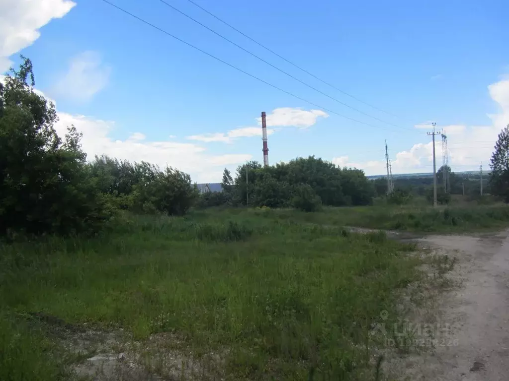 Участок в Ульяновская область, Ульяновск городской округ, с. Белый ... - Фото 1