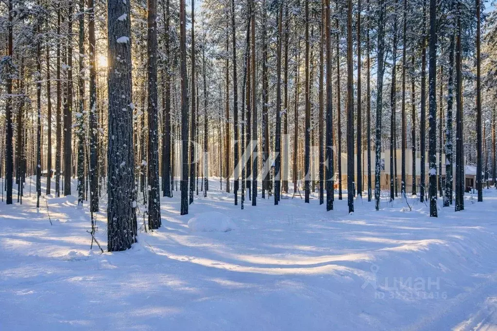 Участок в Ленинградская область, Приозерский район, Петровское с/пос, ... - Фото 2