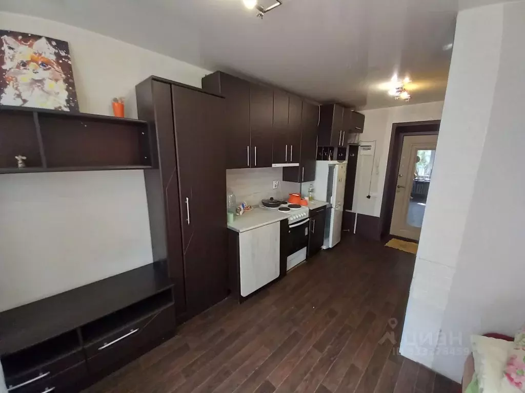 Студия Курганская область, Курган Чернореченская ул., 91 (17.4 м) - Фото 1