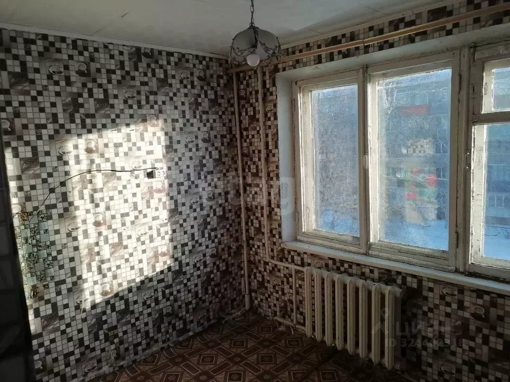 3-к кв. Амурская область, Ивановский муниципальный округ, с. Березовка ... - Фото 2