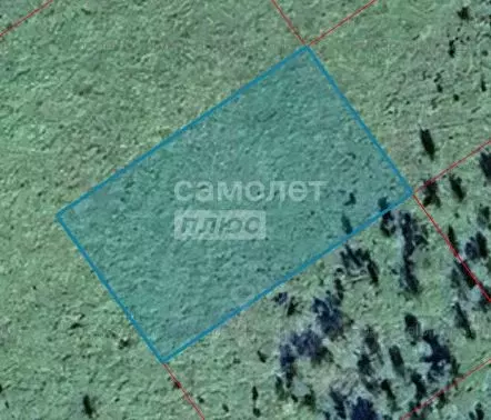 Участок в Иркутская область, Иркутский муниципальный округ, пос. ... - Фото 1