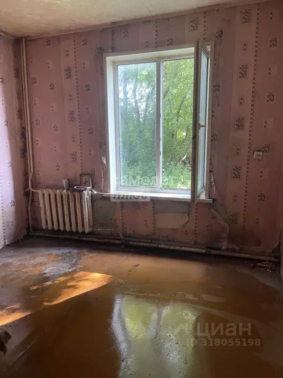 1-к кв. Нижегородская область, Бор ул. Максима Горького, 25 (17.0 м) - Фото 0