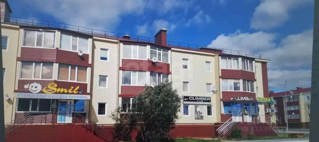 Торговая площадь в Ямало-Ненецкий АО, Пуровский район, Уренгой пгт, ... - Фото 2