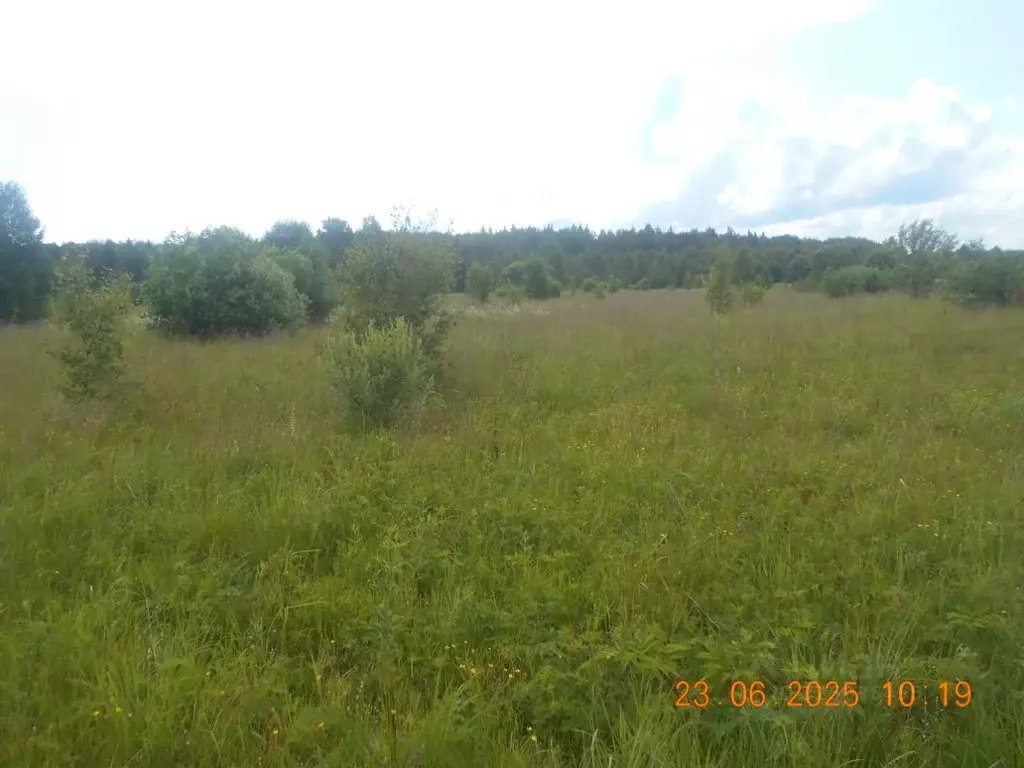 Участок в Московская область, Шаховская муниципальный округ, с. ... - Фото 1