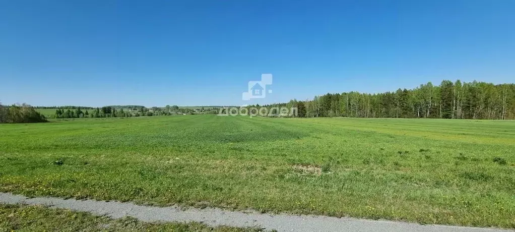 Участок в Свердловская область, Первоуральск городской округ, д. ... - Фото 0