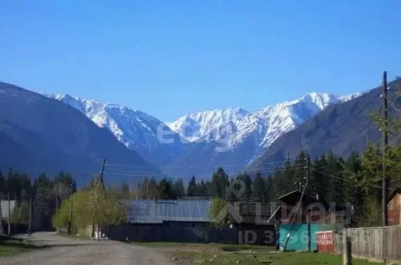 Участок в Алтай, Усть-Коксинский район, с. Катанда Партизанская ул., ... - Фото 1