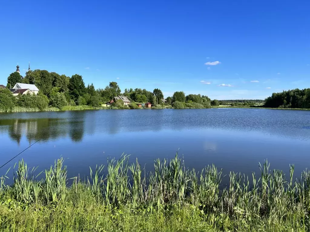 Участок в Московская область, Дмитровский городской округ, д. ... - Фото 0