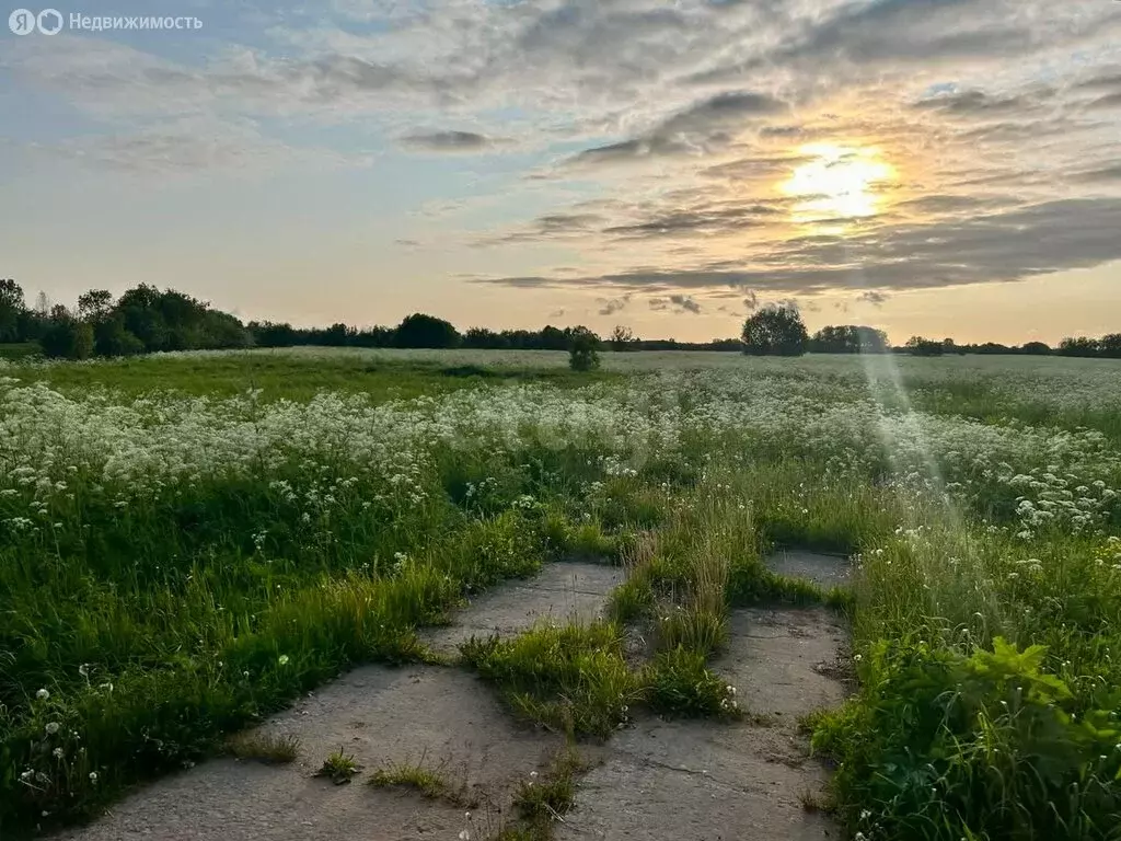 Участок в Архангельская область, Приморский муниципальный округ, ... - Фото 1