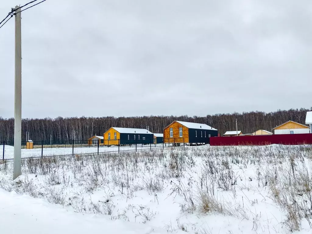 Участок в Московская область, Раменский муниципальный округ, Новое ... - Фото 2