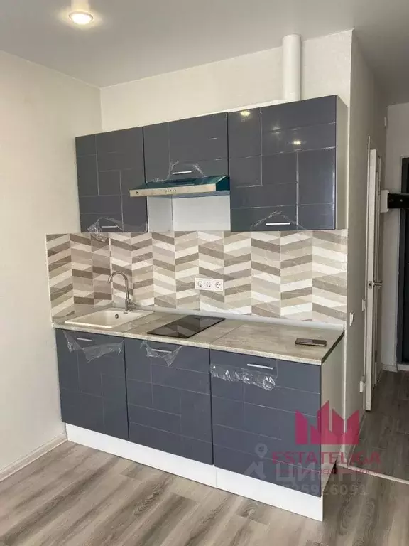 Студия Московская область, Ленинский городской округ, Лопатино пгт ул. ... - Фото 2