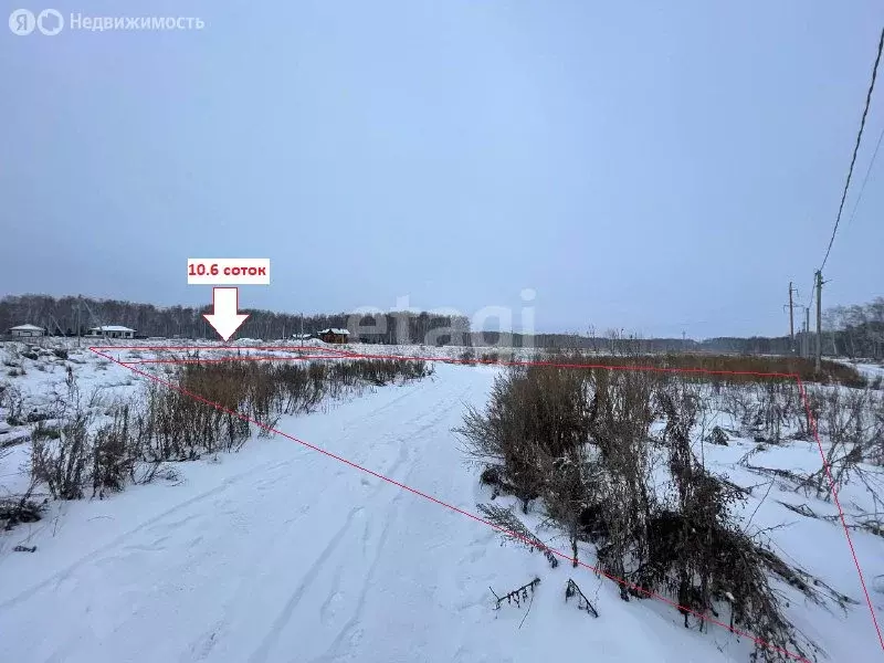 Участок в Пушкинское сельское поселение, деревня Ракитинка, Тенистая ... - Фото 2