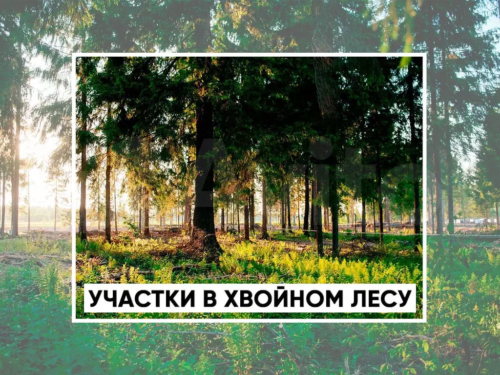 Участок 6 сот. (ИЖС) - Фото 0