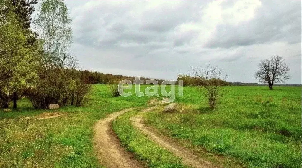 Участок в Владимирская область, Муром  (21.4 сот.) - Фото 1