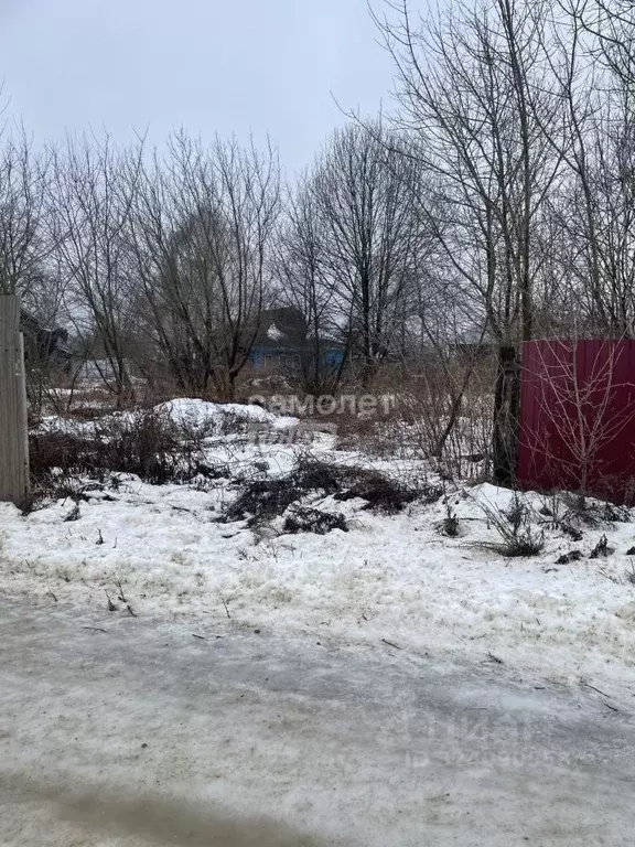 Участок в Нижегородская область, Бор муниципальный округ, с. ... - Фото 2