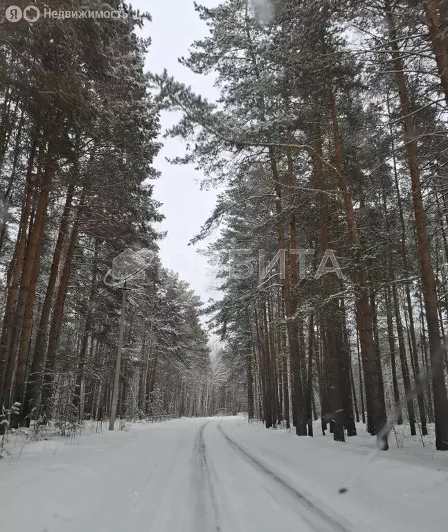 Участок в Тюменский район, СНТ Лесное, Речная улица (6 м) - Фото 1