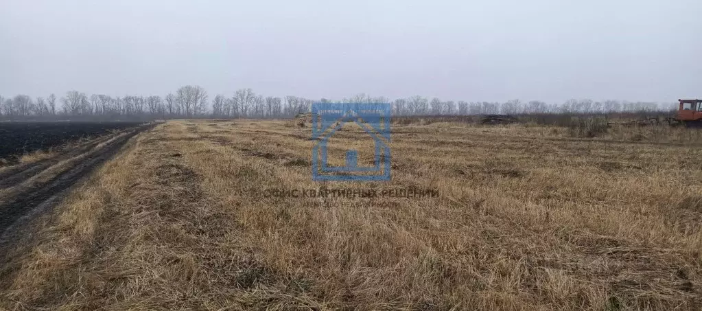 Участок в Пензенская область, с. Бессоновка  (130.0 сот.) - Фото 2