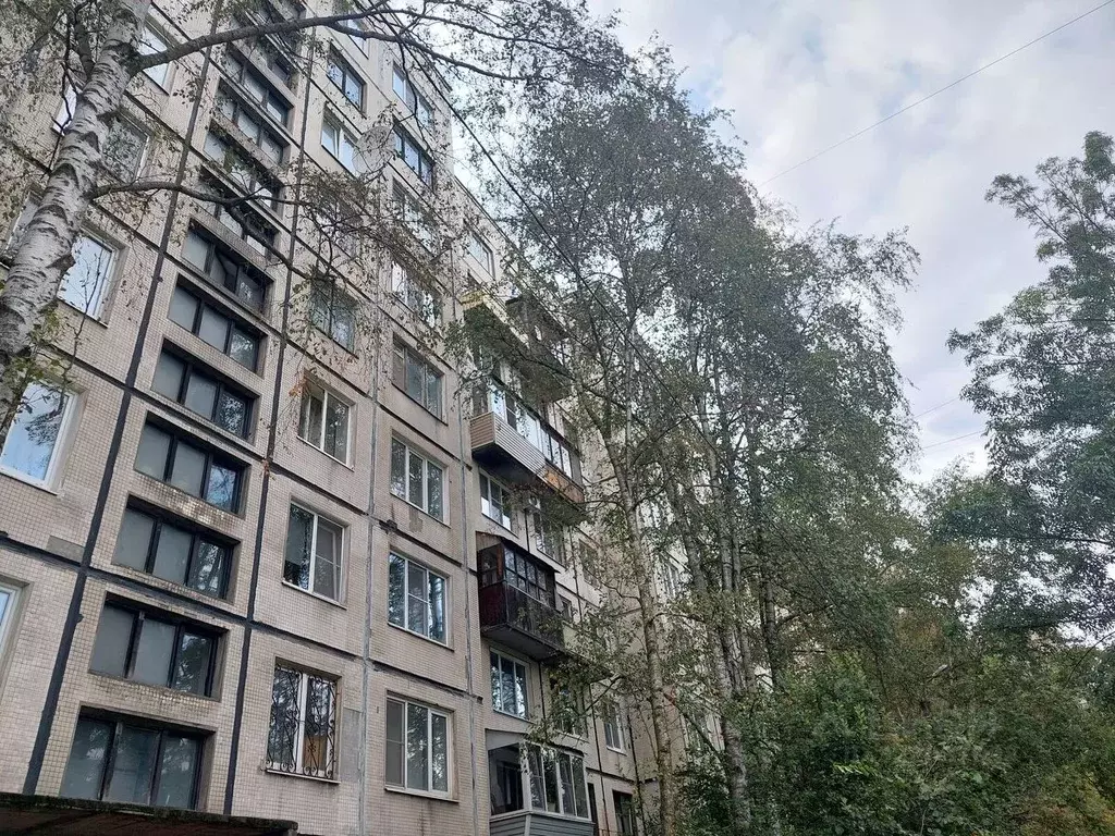 1-к кв. Санкт-Петербург ул. Крыленко, 21К2 (31.4 м) - Фото 1