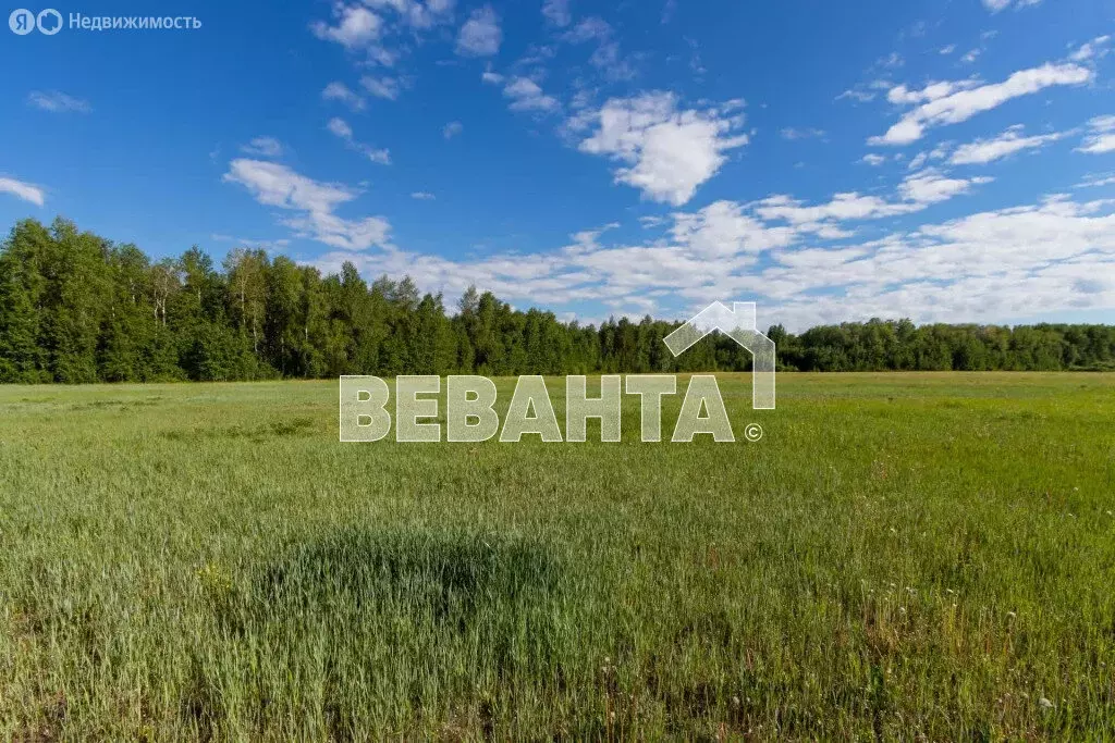 Участок в Тюменский район, село Каменка (10.72 м) - Фото 0
