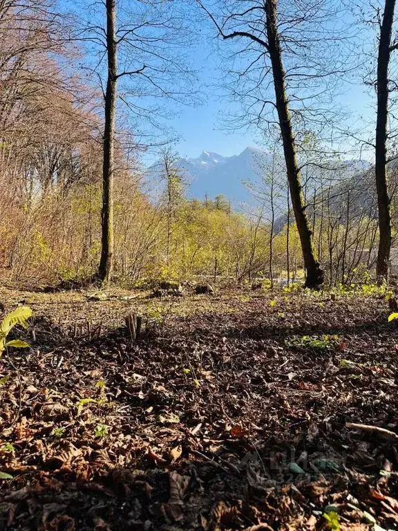 Участок в Краснодарский край, Сочи Красная Поляна пгт, ул. Защитников ... - Фото 0
