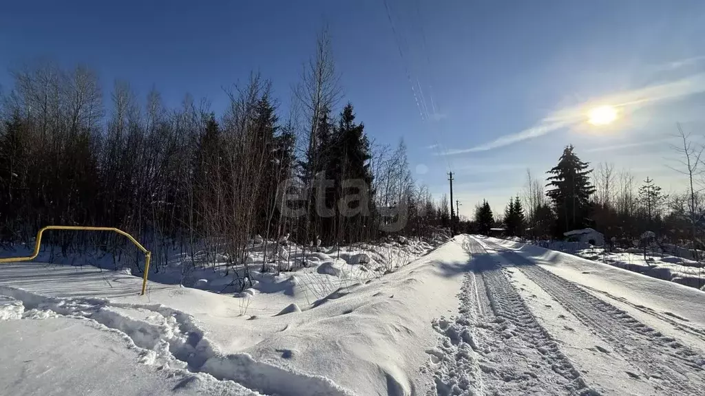 Участок в Ленинградская область, Киришский район, Кусинское с/пос, ... - Фото 1