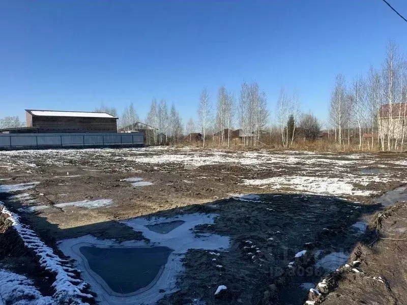 Участок в Новосибирская область, Новосибирский район, Станционный ... - Фото 0