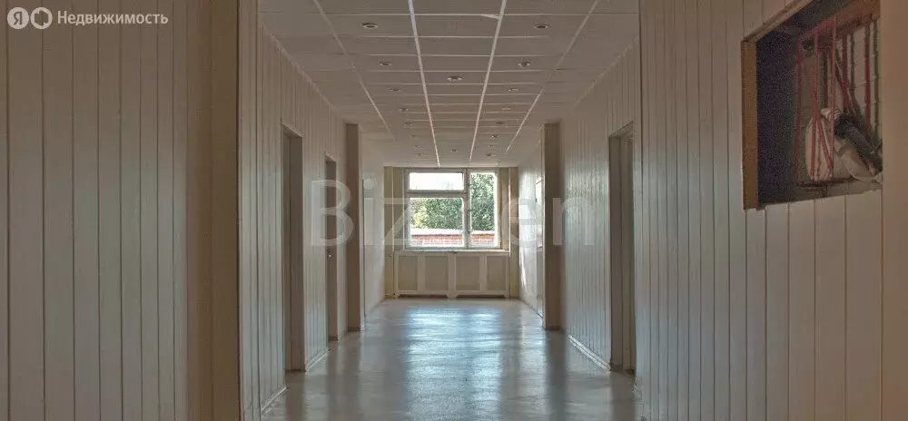 Офис (50.6 м) - Фото 1