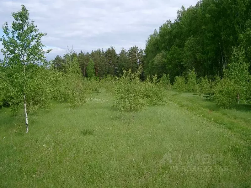 Участок в Татарстан, Зеленодольск Трудовик садовое товарищество,  (5.0 ... - Фото 0