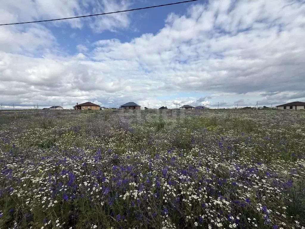 Участок в Белгородская область, Белгородский район, с. Стрелецкое ул. ... - Фото 0