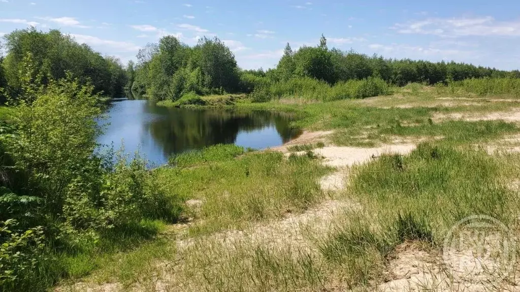 Участок в Ленинградская область, Кировский район, Суховское с/пос, ... - Фото 1