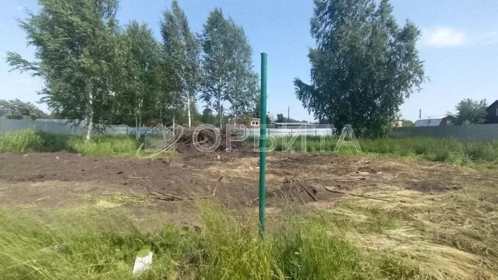 Участок в Тюменская область, Тюменский муниципальный округ, Лесник-2 ... - Фото 1