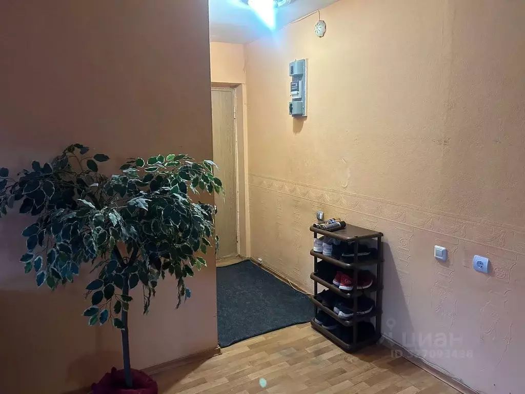 2-к кв. Новосибирская область, Новосибирск ул. Блюхера, 45 (45.0 м) - Фото 2