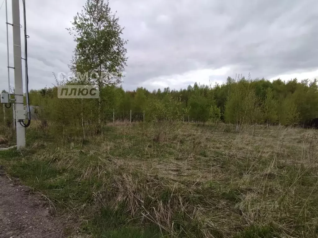 Участок в Московская область, Чехов муниципальный округ, с. Ивановское ... - Фото 1