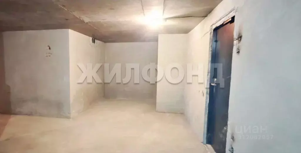 Помещение свободного назначения в Новосибирская область, Новосибирский ... - Фото 1