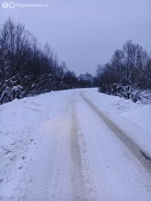 Участок в Московская область, муниципальный округ Егорьевск, деревня ... - Фото 2