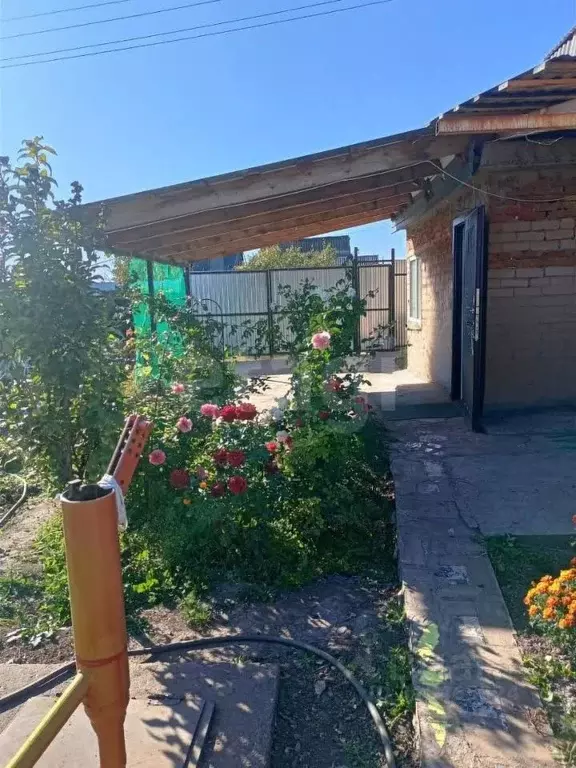 Участок в Оренбургская область, Оренбургский район, Нежинский ... - Фото 1