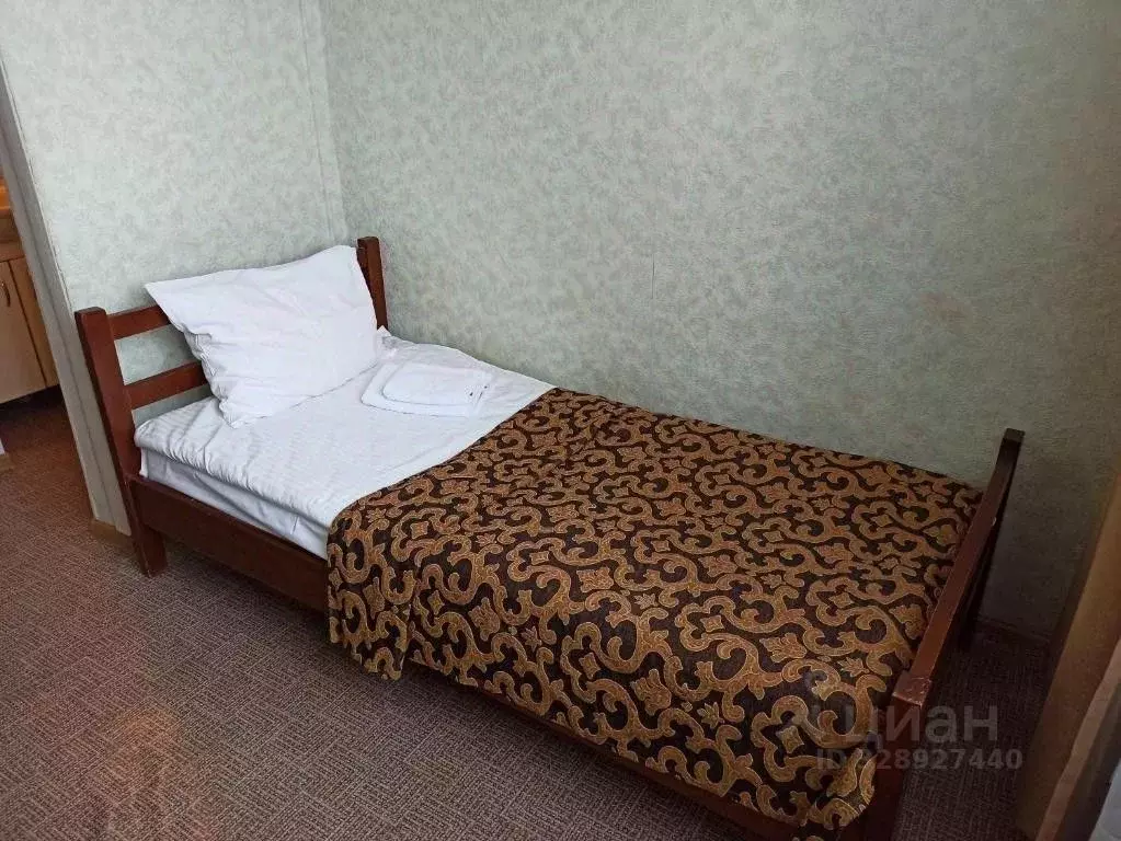 Комната Московская область, Пушкинский городской округ, д. ... - Фото 1