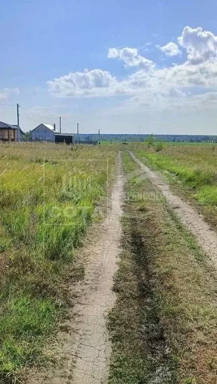 Участок в Воронежская область, с. Новая Усмань ул. Генерала Ватутина, ... - Фото 1