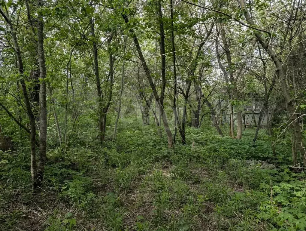 Участок 6,7 сот. (СНТ, ДНП) - Фото 0