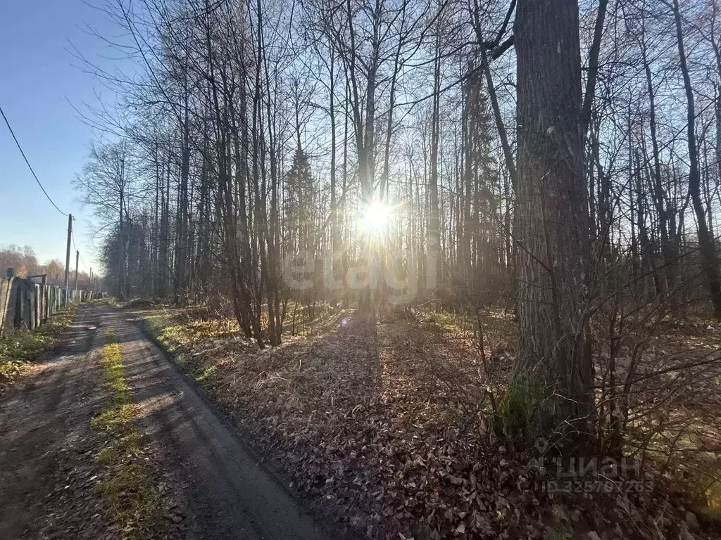 Участок в Пермский край, Пермь Политехник СНТ, 139 (8.0 сот.) - Фото 2