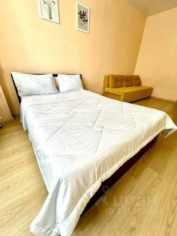 1-к кв. Свердловская область, Екатеринбург ул. Циолковского, 29 (20.0 ... - Фото 1