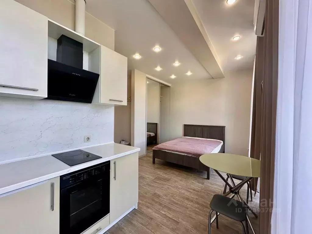 Студия Краснодарский край, Сочи Агро СНТ, 290/2 (24.0 м) - Фото 2