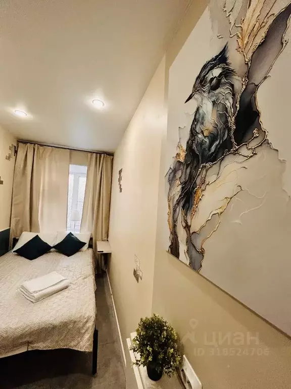 Студия Санкт-Петербург Курляндская ул., 20 (13.0 м) - Фото 0