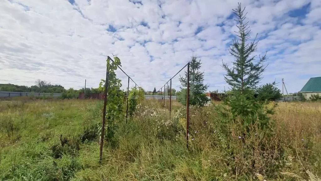 Участок в Курская область, Горшеченский район, Куньевский сельсовет, ... - Фото 2